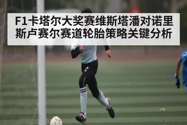 F1卡塔尔大奖赛维斯塔潘对诺里斯卢赛尔赛道轮胎策略关键分析
